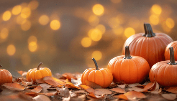 Small pumpkins arranged on the ground with orange leaves, against a blurred background of warm, glowing bokeh lights.